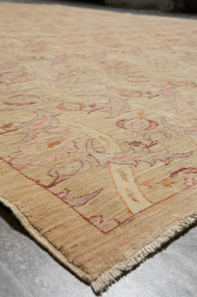 9 x 11.9 Amazing Decor Handmade Zigler Transitional Rug #F-4244