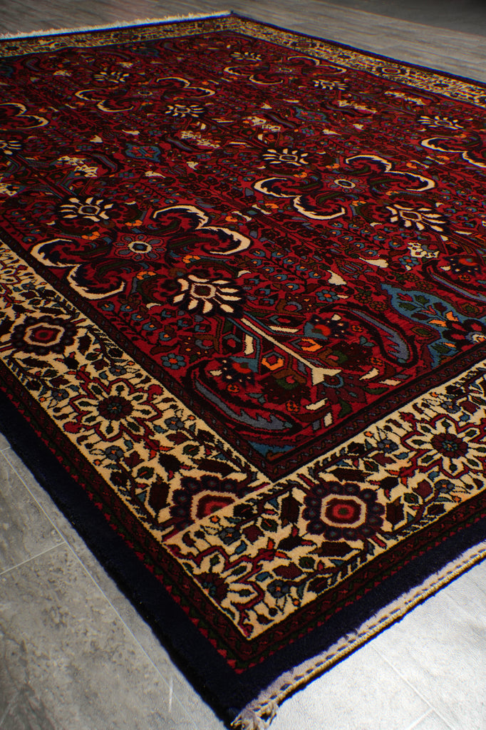 7 x 9.9 Tribal Persian Bakhtiar Rug #B-72729