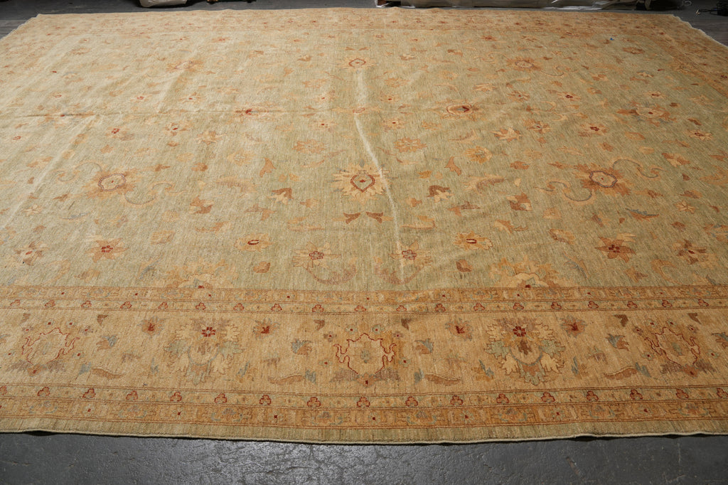 14 x 19.7 Light Green Natural Wool Chobi Peshawar Rug Big Sale