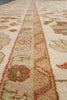 Load image into Gallery viewer, 10 x 14 New Handmade Quality Agra TRANSITIONAL Rug Beige Gold  #F-4263