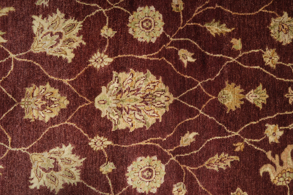 Close-up of a patterned rug with intricate designs on a brown background