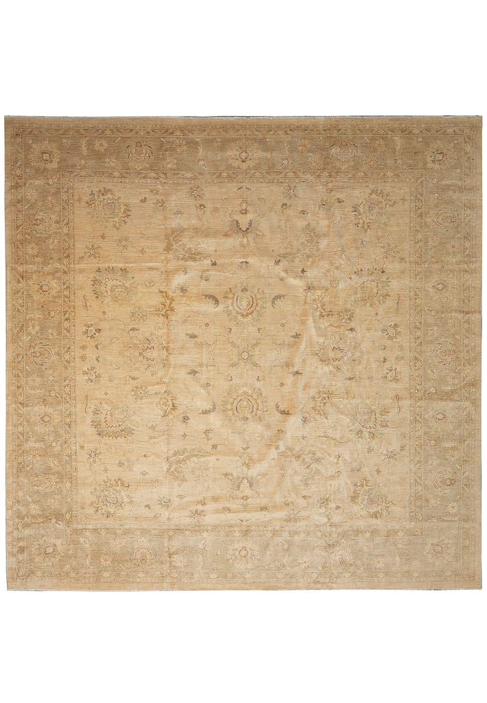 13.6 x 13.8Feet Square Quality Chobi Peshawar Rug 