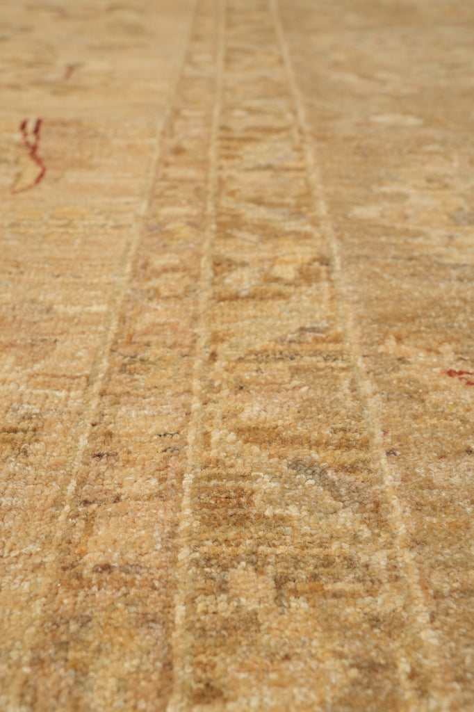 13.6 x 13.8Feet Square Quality Chobi Peshawar Rug #PIX-15436