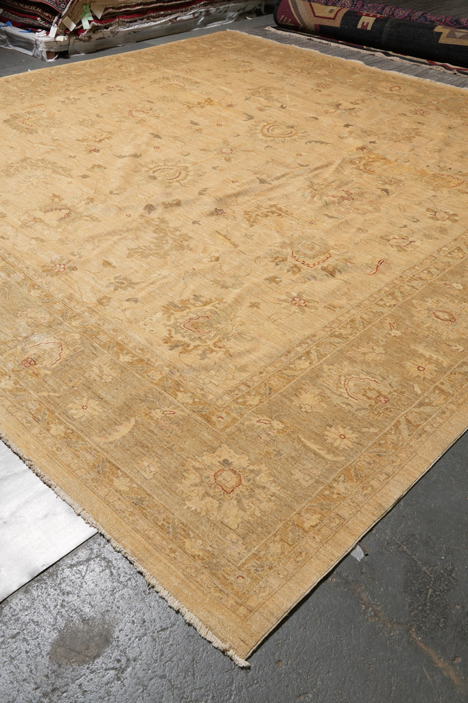 13.6 x 13.8Feet Square Quality Chobi Peshawar Rug #PIX-15436