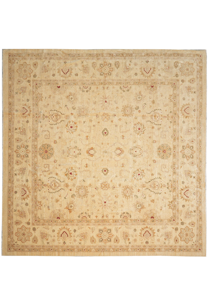 14 x 14  Square Hand-Knotted Natural Wool Quality Agra Rug Beige Gold