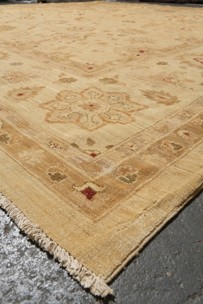 14 x 14  Square Hand-Knotted Natural Wool Quality Agra Rug Beige Gold #PIX-6709