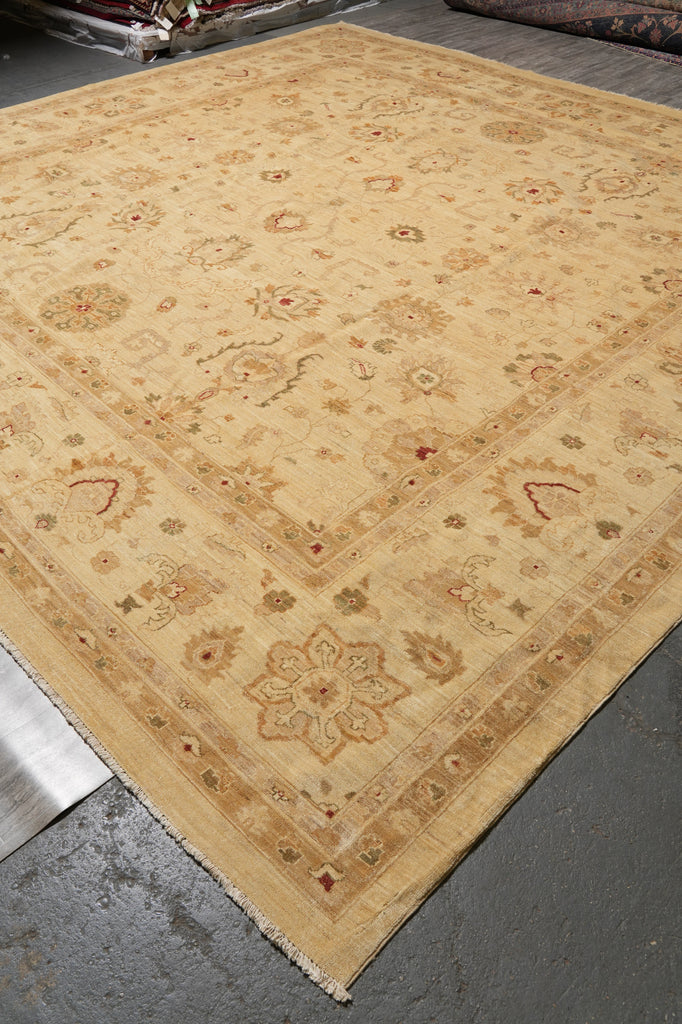 14 x 14  Square Hand-Knotted Natural Wool Quality Agra Rug Beige Gold #PIX-6709