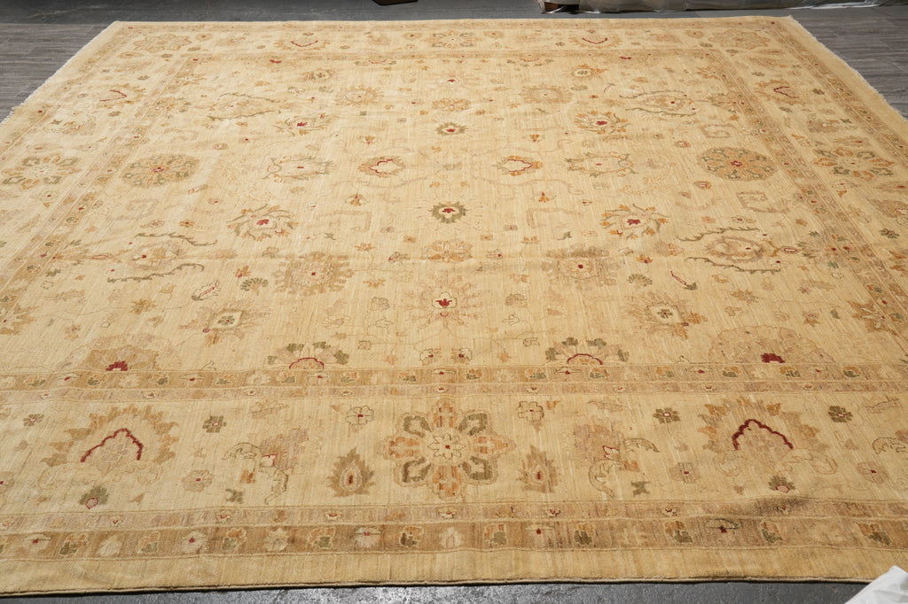 14 x 14  Square Hand-Knotted Natural Wool Quality Agra Rug Beige Gold #PIX-6709
