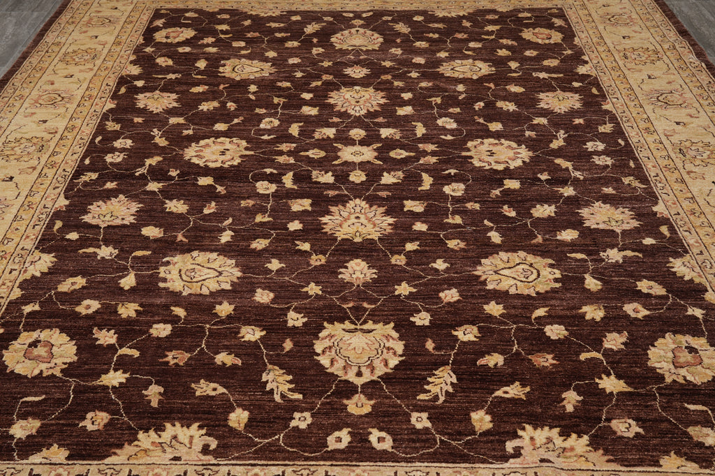 9.3 x 12 Quality Wool Hand-Knotted Zigler Peshawar Chobi Rug #PIX-5971