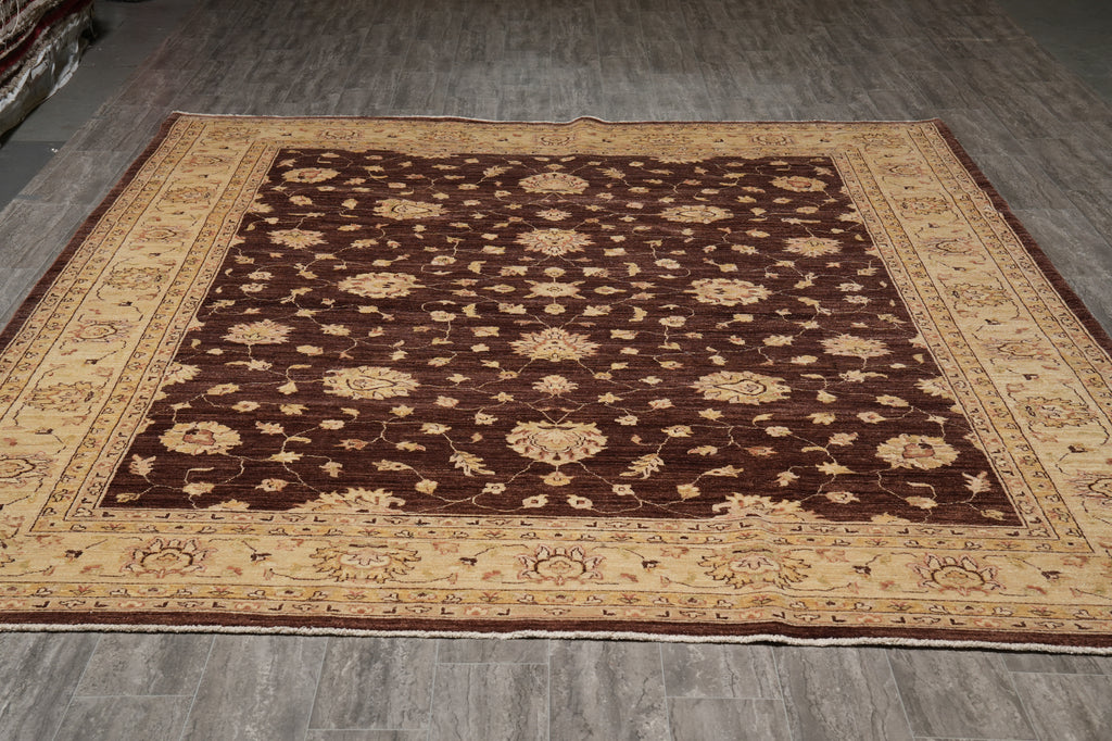 9.3 x 12 Quality Wool Hand-Knotted Zigler Peshawar Chobi Rug #PIX-5971