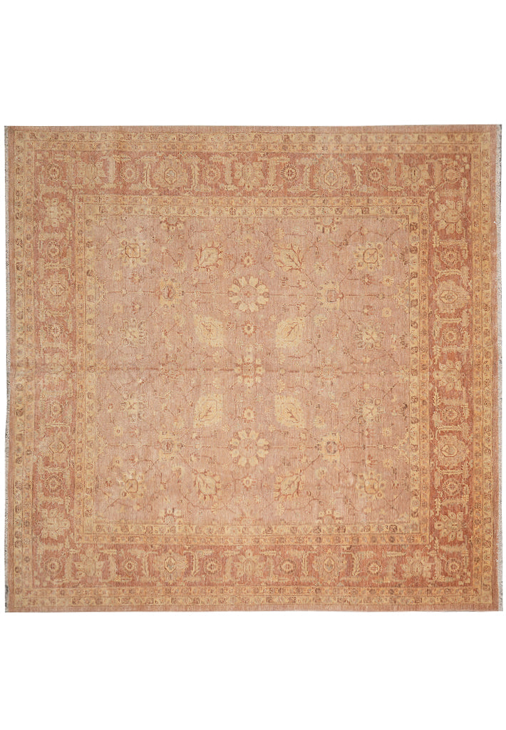 9.9 x 10 Square Hand-Knotted In Pakistan Carpet Neutral Peach #F-4299