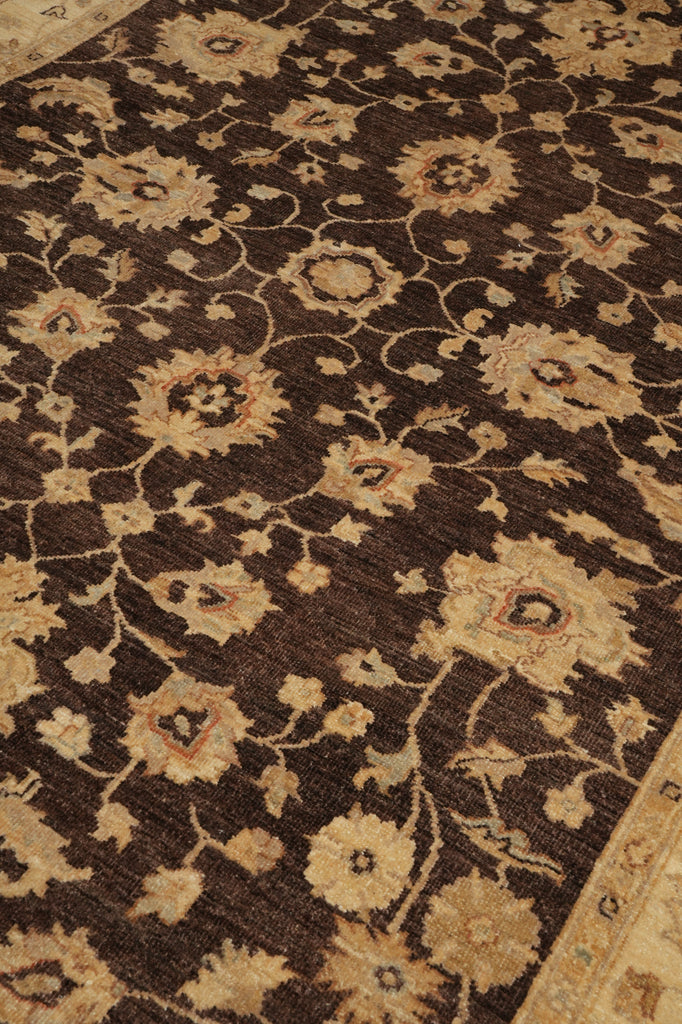 6 x 8.9 Brown Chobi Peshawar Rug 20241