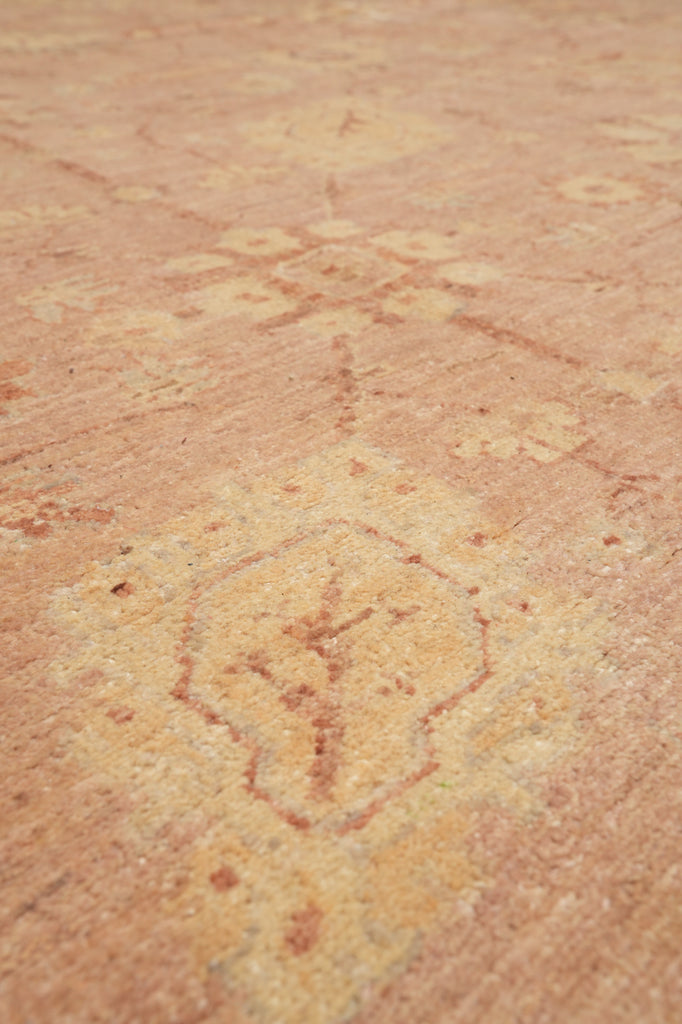 9.9 x 10 Square Hand-Knotted In Pakistan Carpet Neutral Peach #F-4299