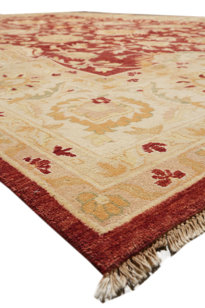 10 x 14.8 Beautiful Zigler Rug Hand-Knotted in Pakistan Natural Wool Veggie Dyed #F-4302