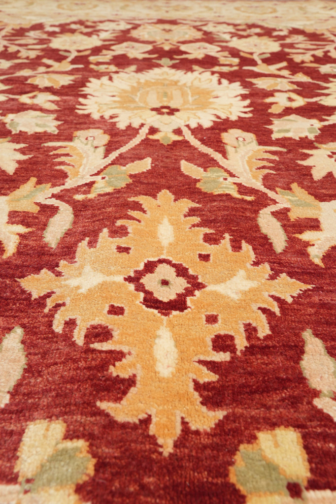 10 x 14.8 Beautiful Zigler Rug Hand-Knotted in Pakistan Natural Wool Veggie Dyed #F-4302