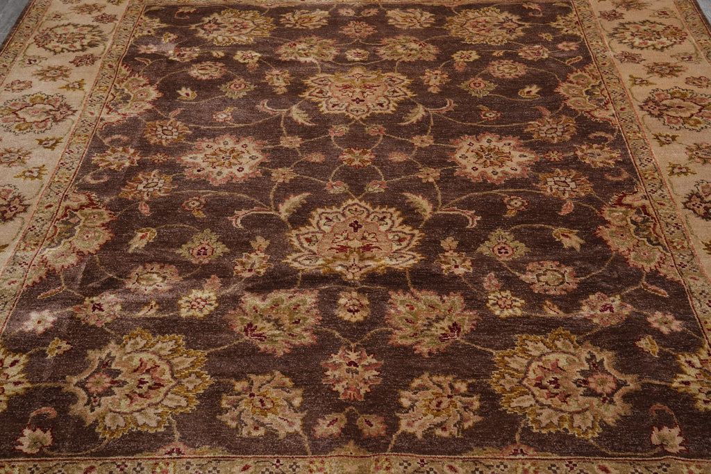 8 x 9.7 Brown Quality Wool Jaipur Rug Clearance Sale #PIX-804-38
