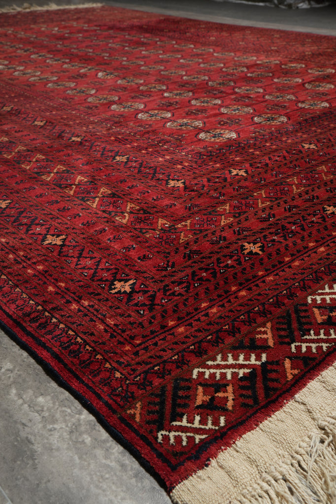 A close-up of a red patterned rug with a dark border, cream fringe, and small geometric motifs woven throughout.