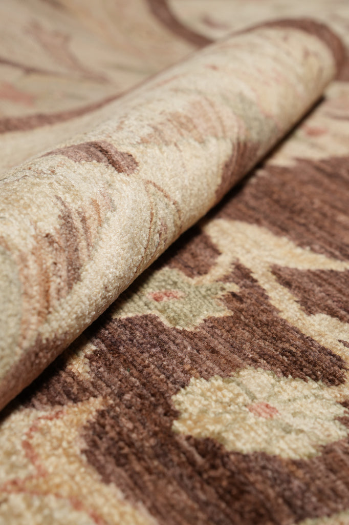 8 x 10 Dark Brown Zigler Chobi Peshawar Rug #F-4324