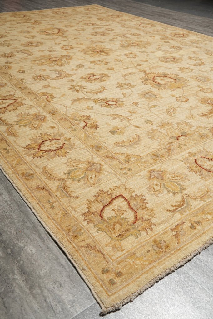 6 x 9 Hand-Knotted Beige Chobi Peshawar Rug #PIX-20600