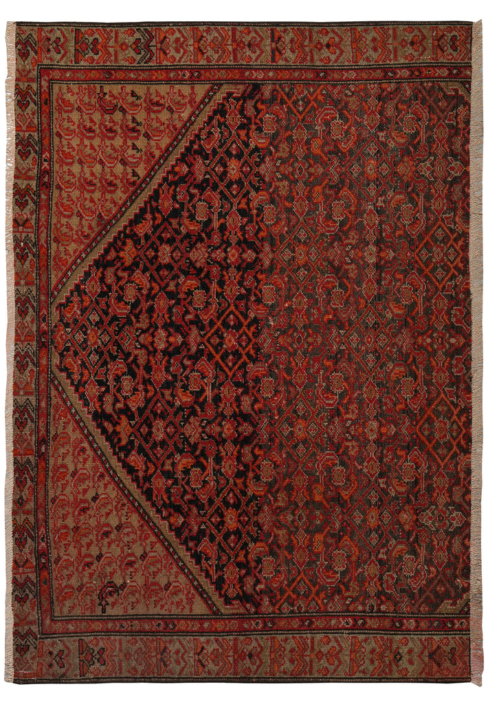 A traditional oriental area rug with a complex floral and geometric pattern, featuring a dark central field, a red border, and cream fringe on the sides.