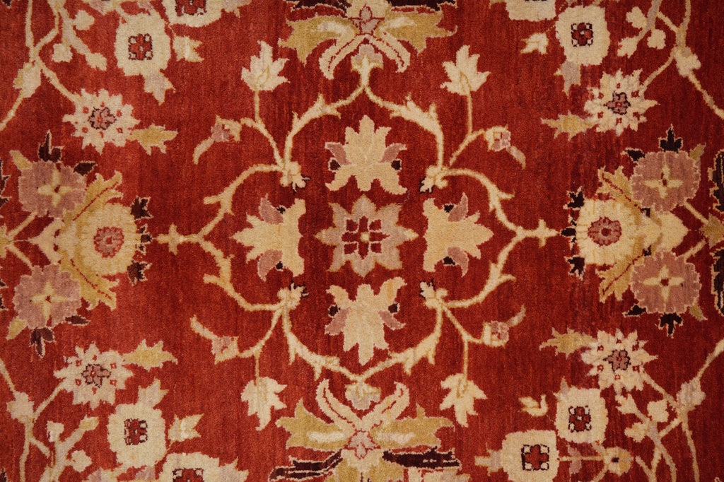 10 x 14 Fine Wool Quality Traditional Jaipur Rug 74913