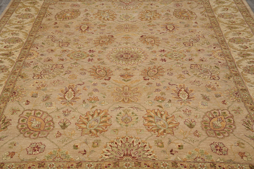 8 x 10 Neutral Light Brown Chobi Peshawar Rug Natural Wool #PIX-8455