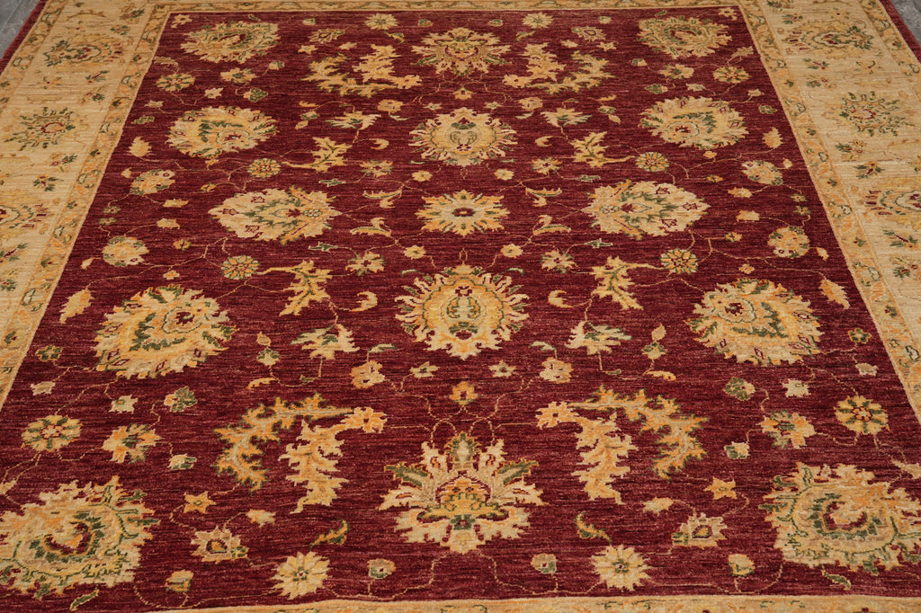 8 x 9.8 Quality Handmade Organic Wool Chobi Peshawar Rug #F-4527