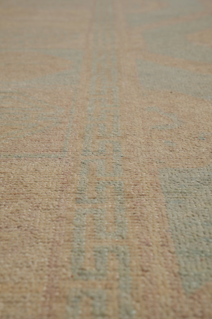 8.5 x 9.9 Washed out Colors Handmade Chobi Peshawar Transitional Rug Light Green #F-4531