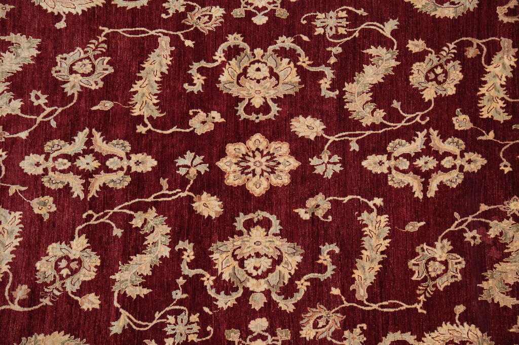 8.8 x 13.4 Fine Quality Handmade Zigler Chobi Rug Natural Organic Wool Warm Burgundy #PIX-9912