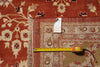 Load image into Gallery viewer, 10 x 14.6 Traditional Fine Quality Jaipur Rug Coral 74915