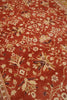 Load image into Gallery viewer, 10 x 14.6 Traditional Fine Quality Jaipur Rug Coral 74915