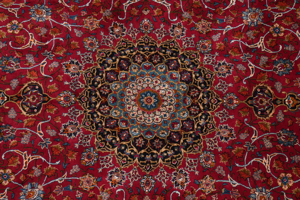 9.8 x 12.6 Persian Classy Traditional Rug Quality Wool Iran #F-4557