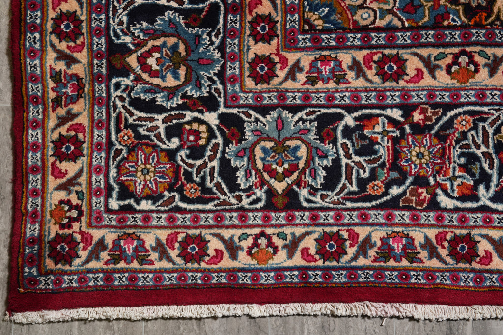 9.8 x 12.6 Persian Classy Traditional Rug Quality Wool Iran #F-4557