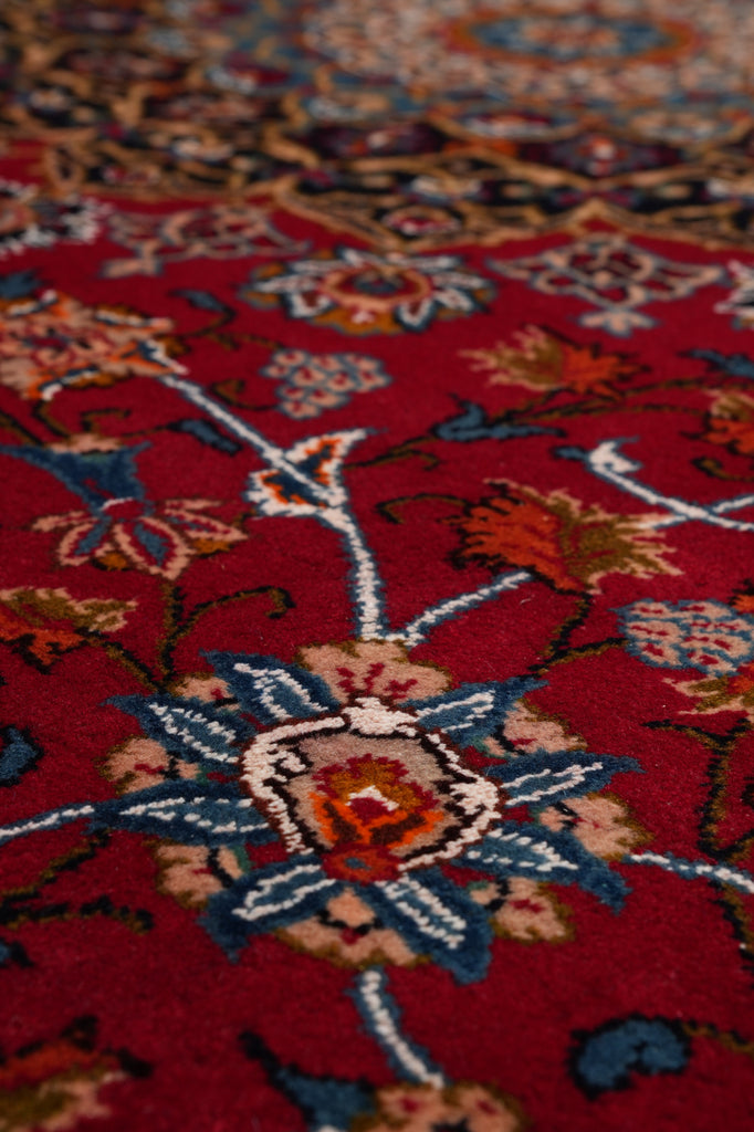 9.8 x 12.6 Persian Classy Traditional Rug Quality Wool Iran #F-4557