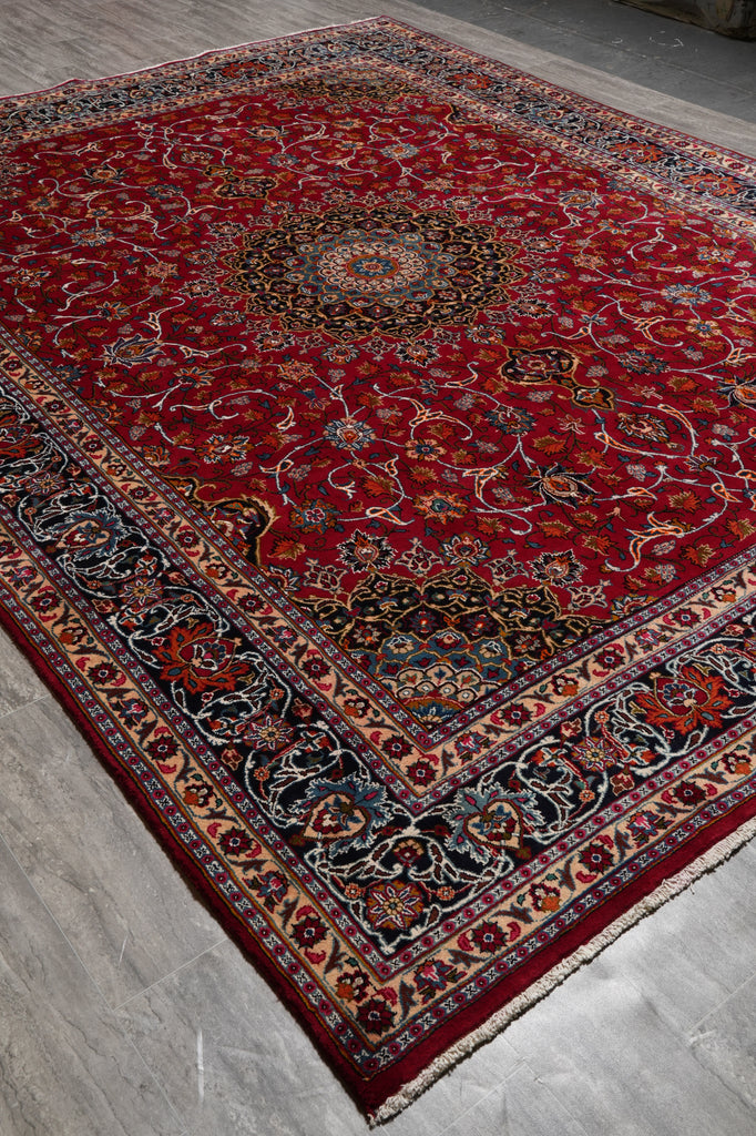 9.8 x 12.6 Persian Classy Traditional Rug Quality Wool Iran #F-4557