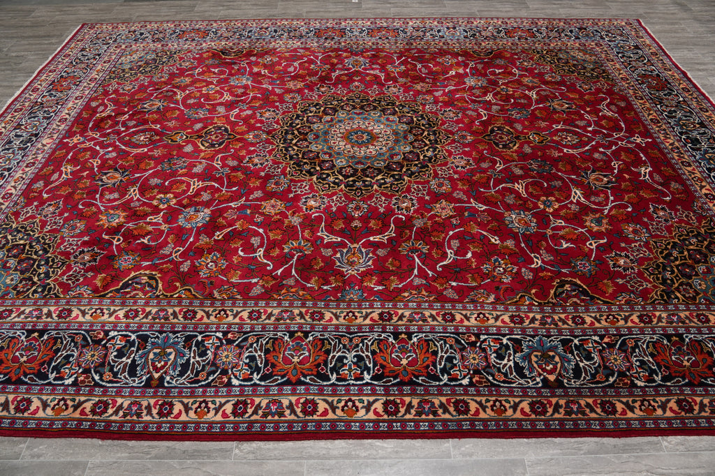 9.8 x 12.6 Persian Classy Traditional Rug Quality Wool Iran #F-4557