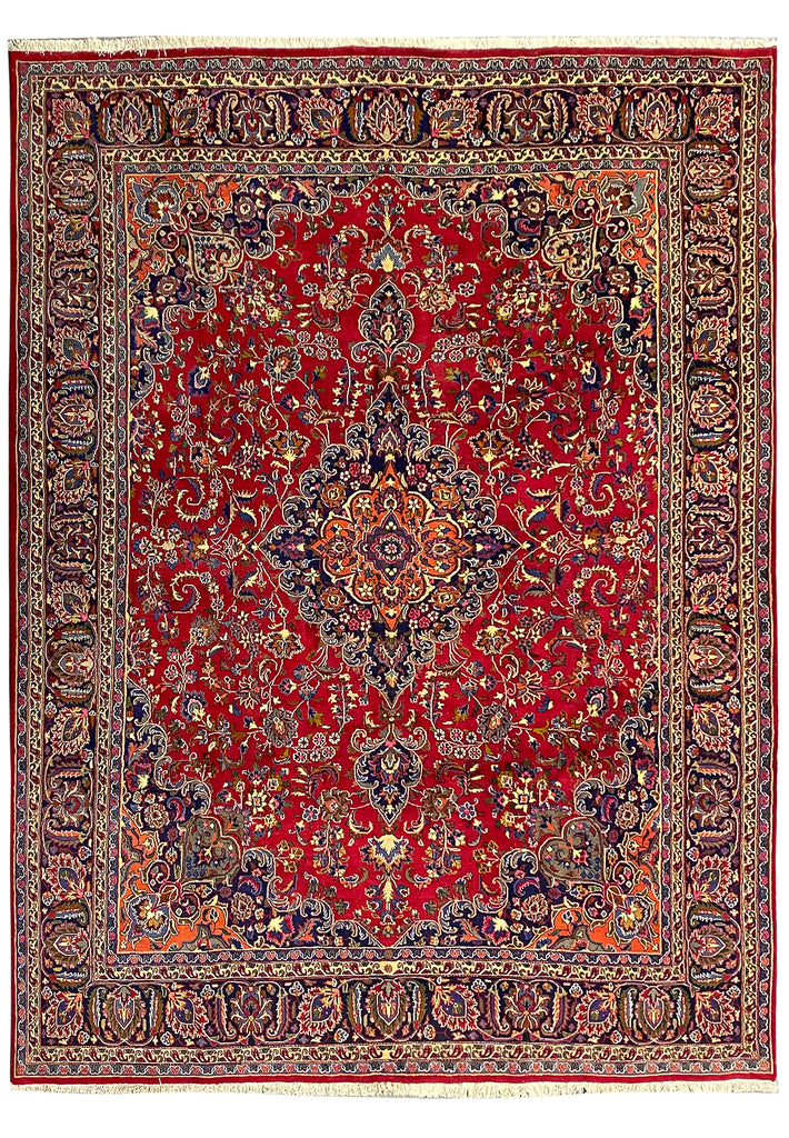 9.9 x 12.9 Sale Authentic Persian Traditional Rug Iran 