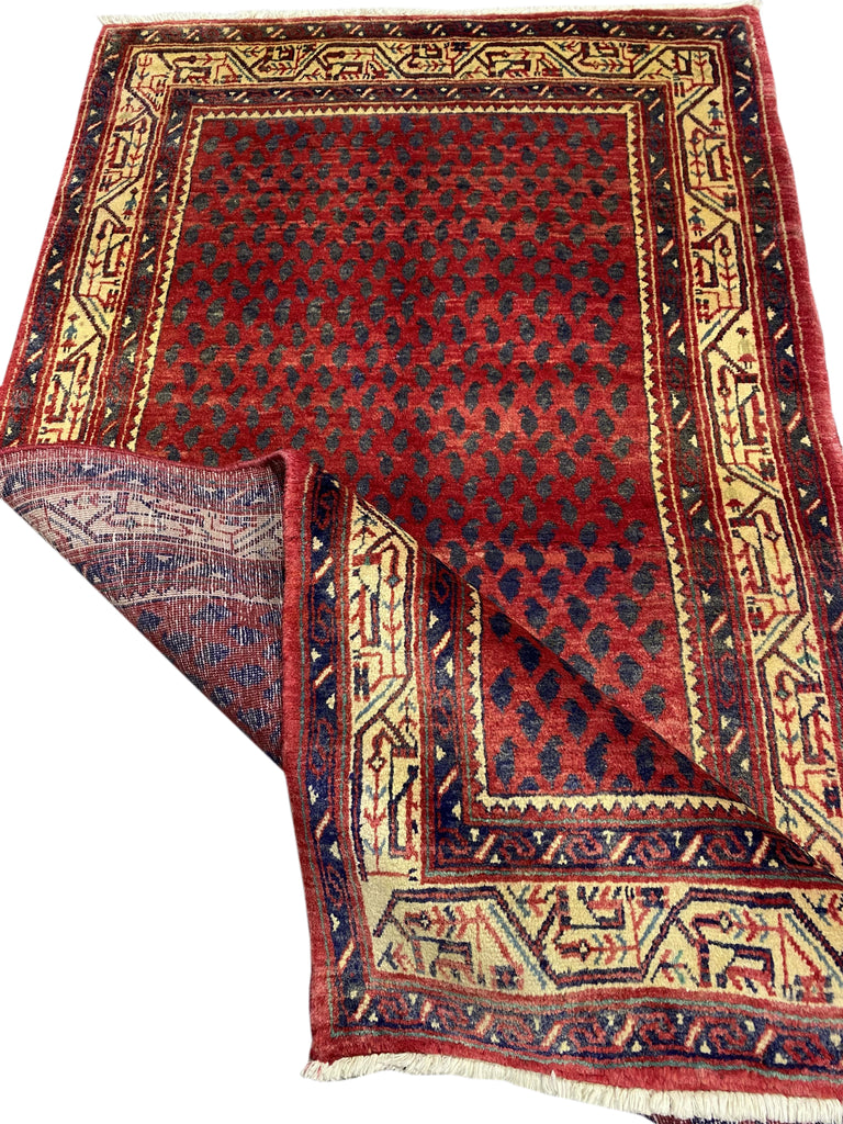 Luxurious-Authentic-Persian-Hamadan-Mir-Rug.jpg