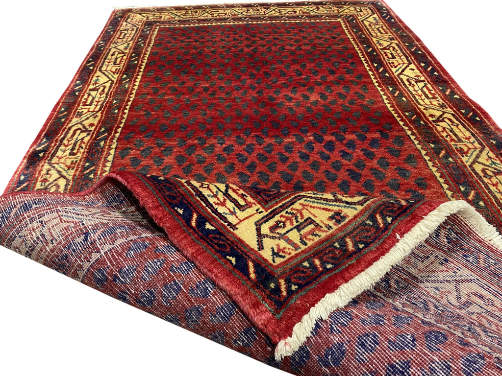 Luxurious-Authentic-Persian-Hamadan-Mir-Rug.jpg