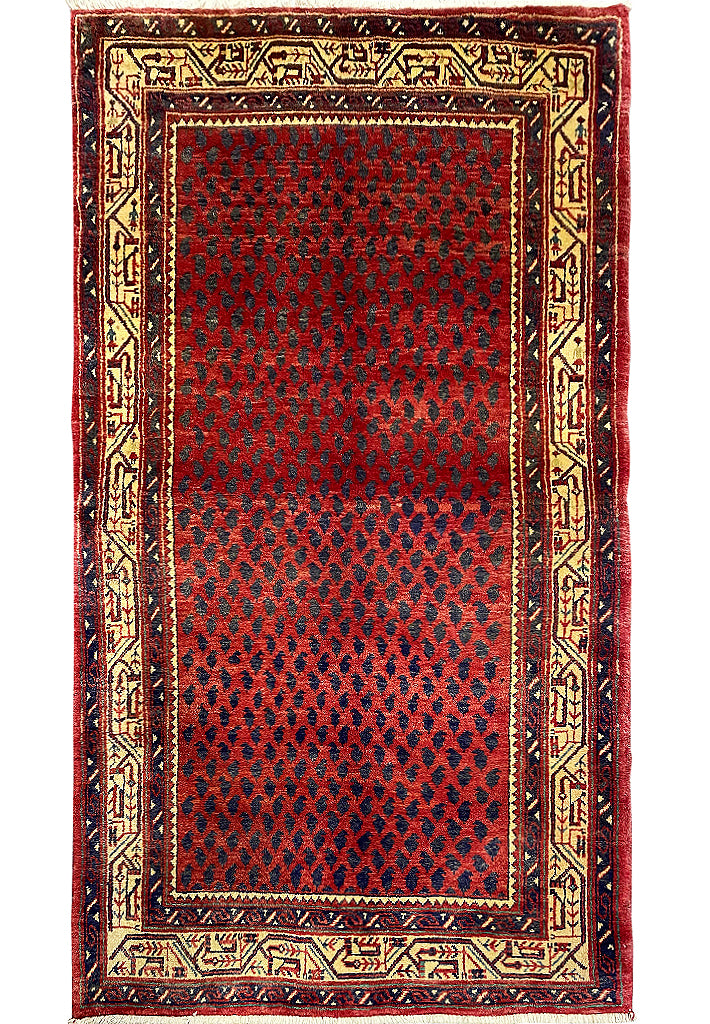 Luxurious-Authentic-Persian-Hamadan-Mir-Rug.jpg