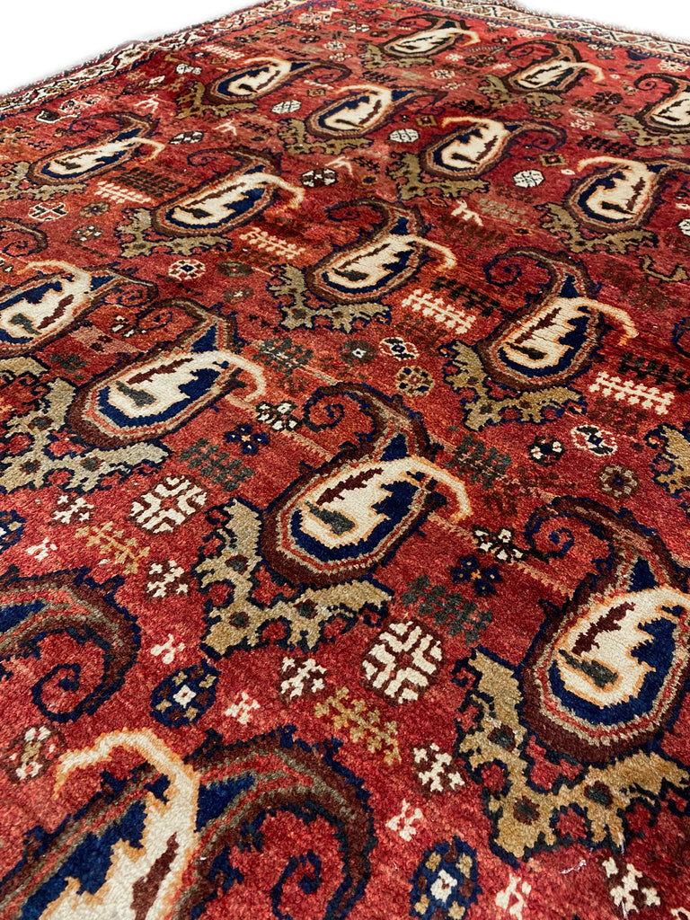 4.9 x 6 Hand-Knotted Botteh Paiely Persian Qashqai Rug #PIX-12634