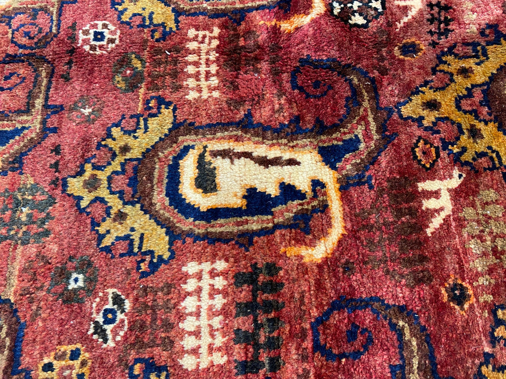 4.9 x 6 Hand-Knotted Botteh Paiely Persian Qashqai Rug #PIX-12634