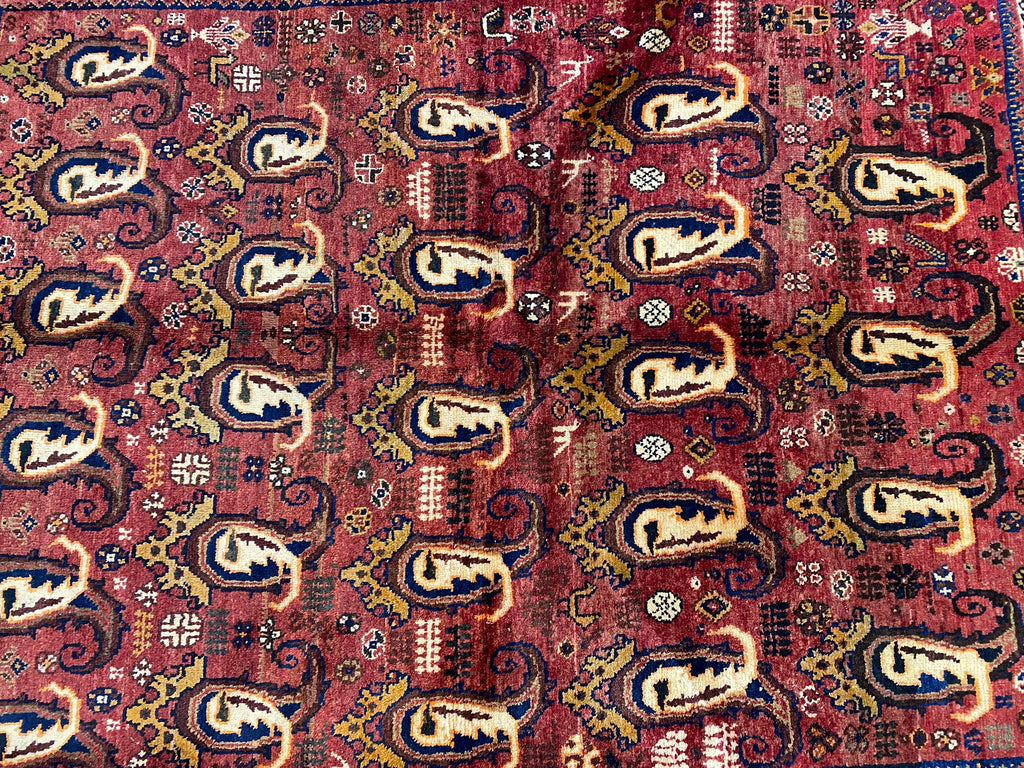 4.9 x 6 Hand-Knotted Botteh Paiely Persian Qashqai Rug #PIX-12634