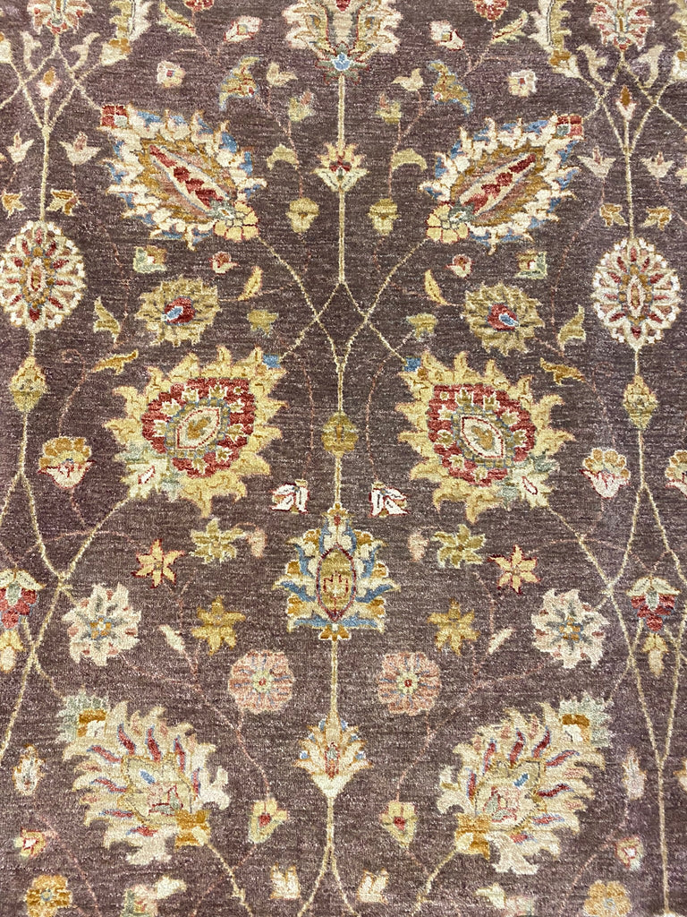 8 x 10 Chocolate BROWN Ziglar Rug Natural Wool #B-72584