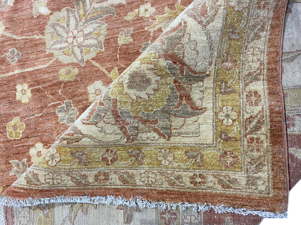 11.10 x 15.10 Coral Chobi Peshawar Large Rug 15418