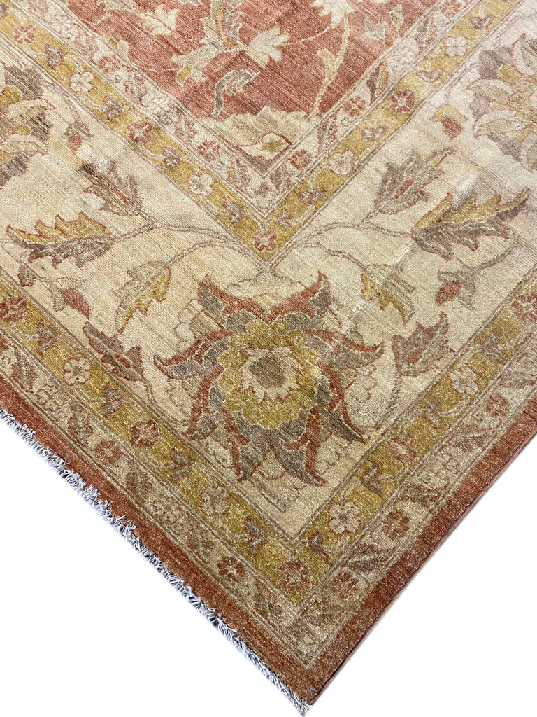 11.10 x 15.10 Coral Chobi Peshawar Large Rug 15418