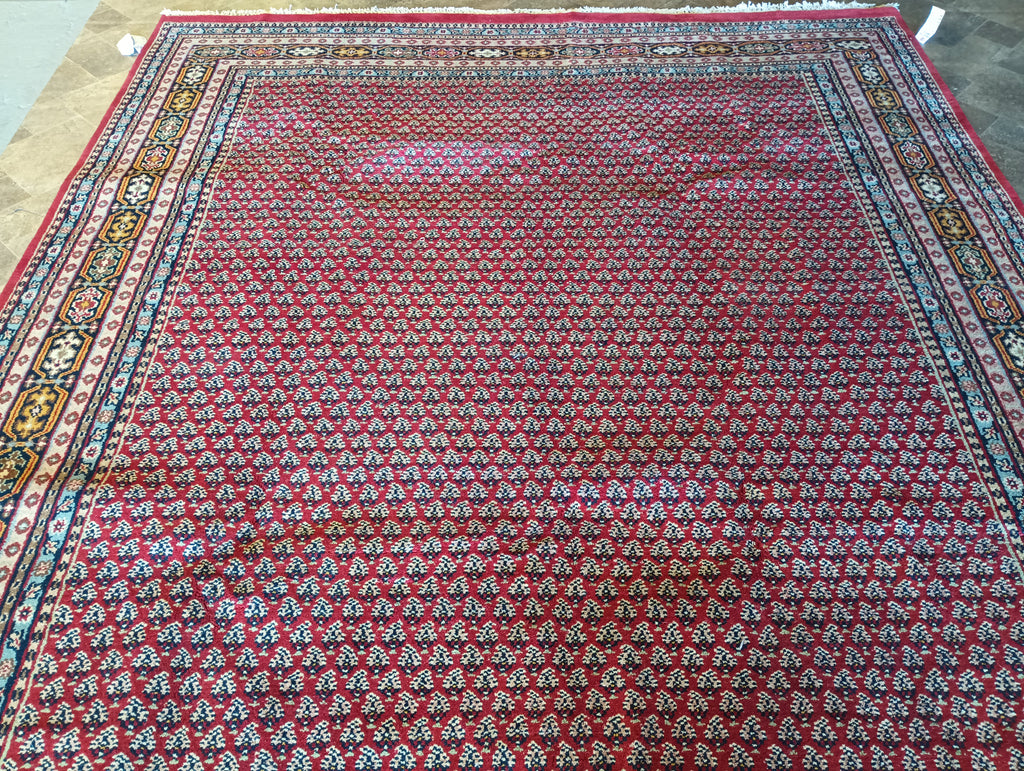 8.3 x 9.9 Handmade India Saraband Mir Herati Rug #PIX-16044