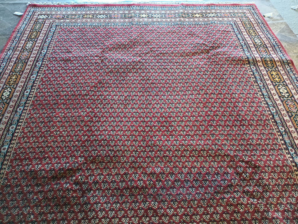 8.3 x 9.9 Handmade India Saraband Mir Herati Rug #PIX-16044