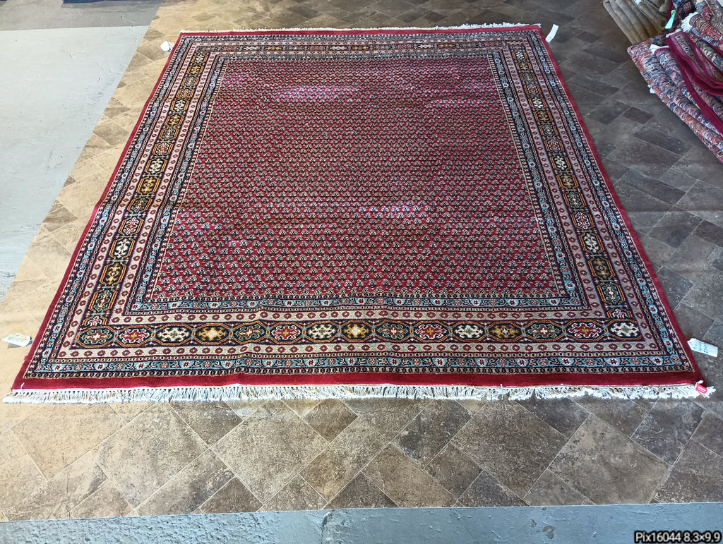 8.3 x 9.9 Handmade India Saraband Mir Herati Rug #PIX-16044