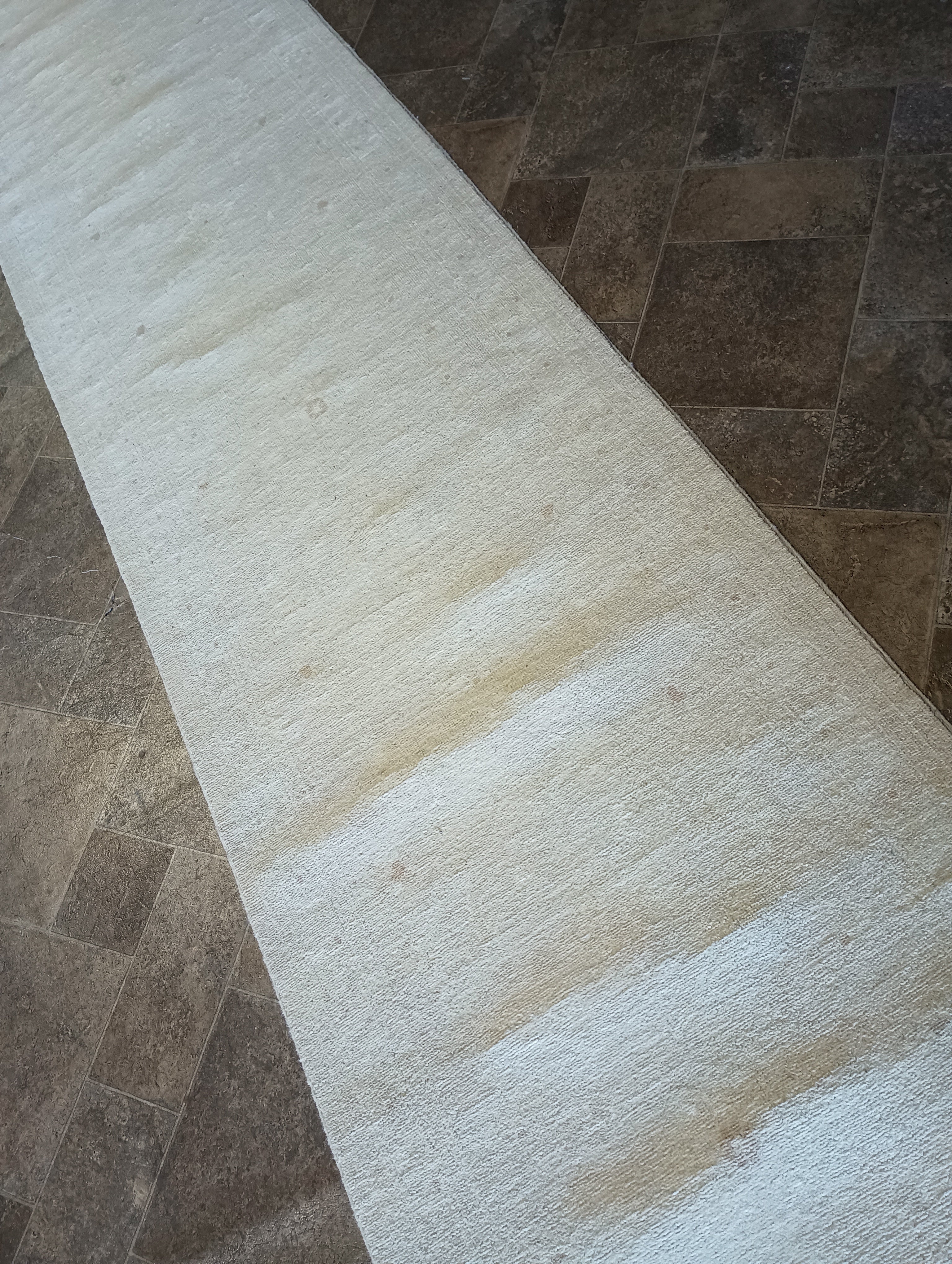 Pastel Wool Runner Rug 20' Feet Long Contemporary Transitional Runner Hand-Knotted Wool Pale ...
